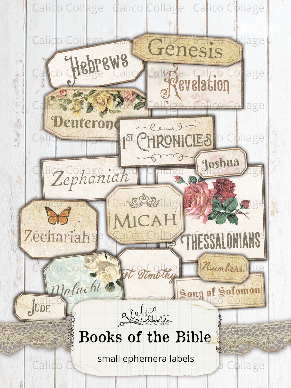 Printable Books of the Bible Labels