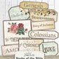 Printable Books of the Bible Labels