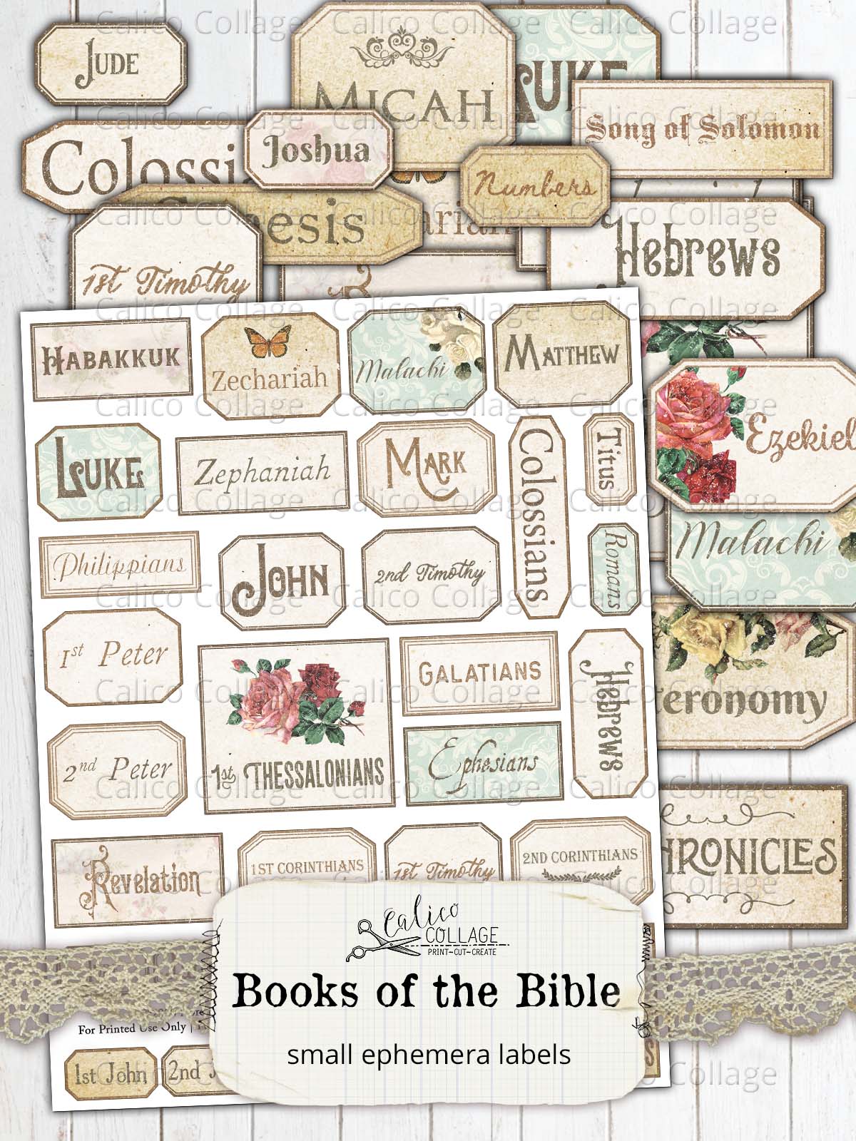 Printable Books of the Bible Labels