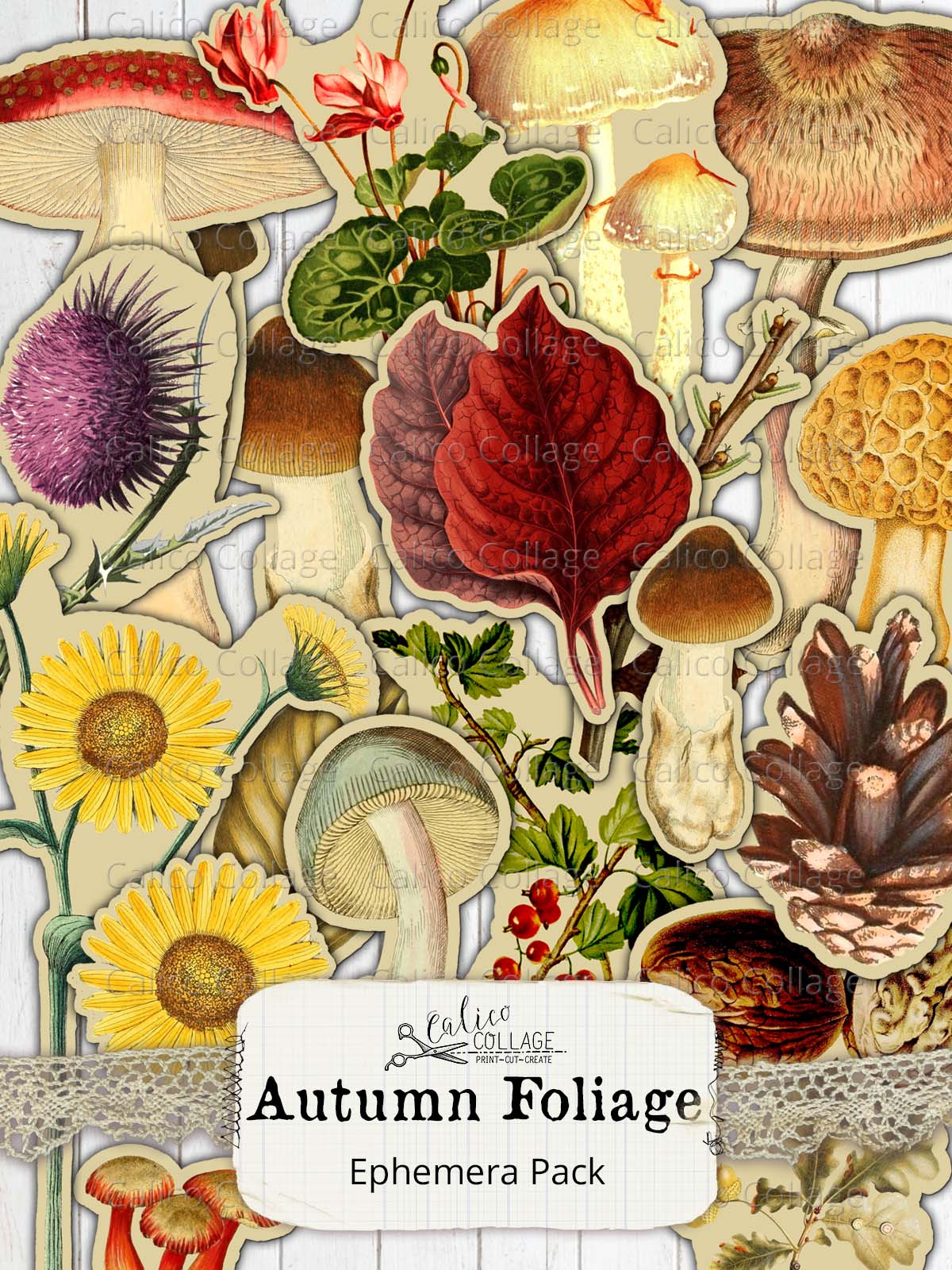 Autumn Fussy Cut Ephemera for Junk Journals