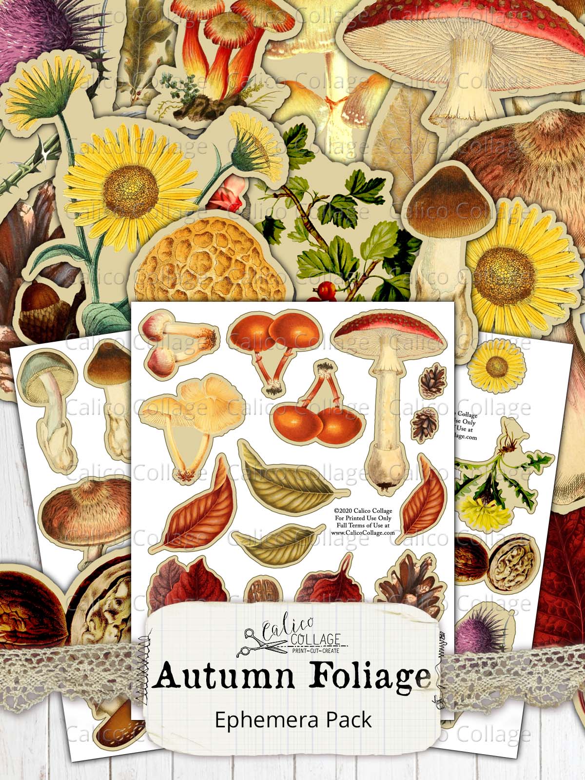 Autumn Fussy Cut Ephemera for Junk Journals