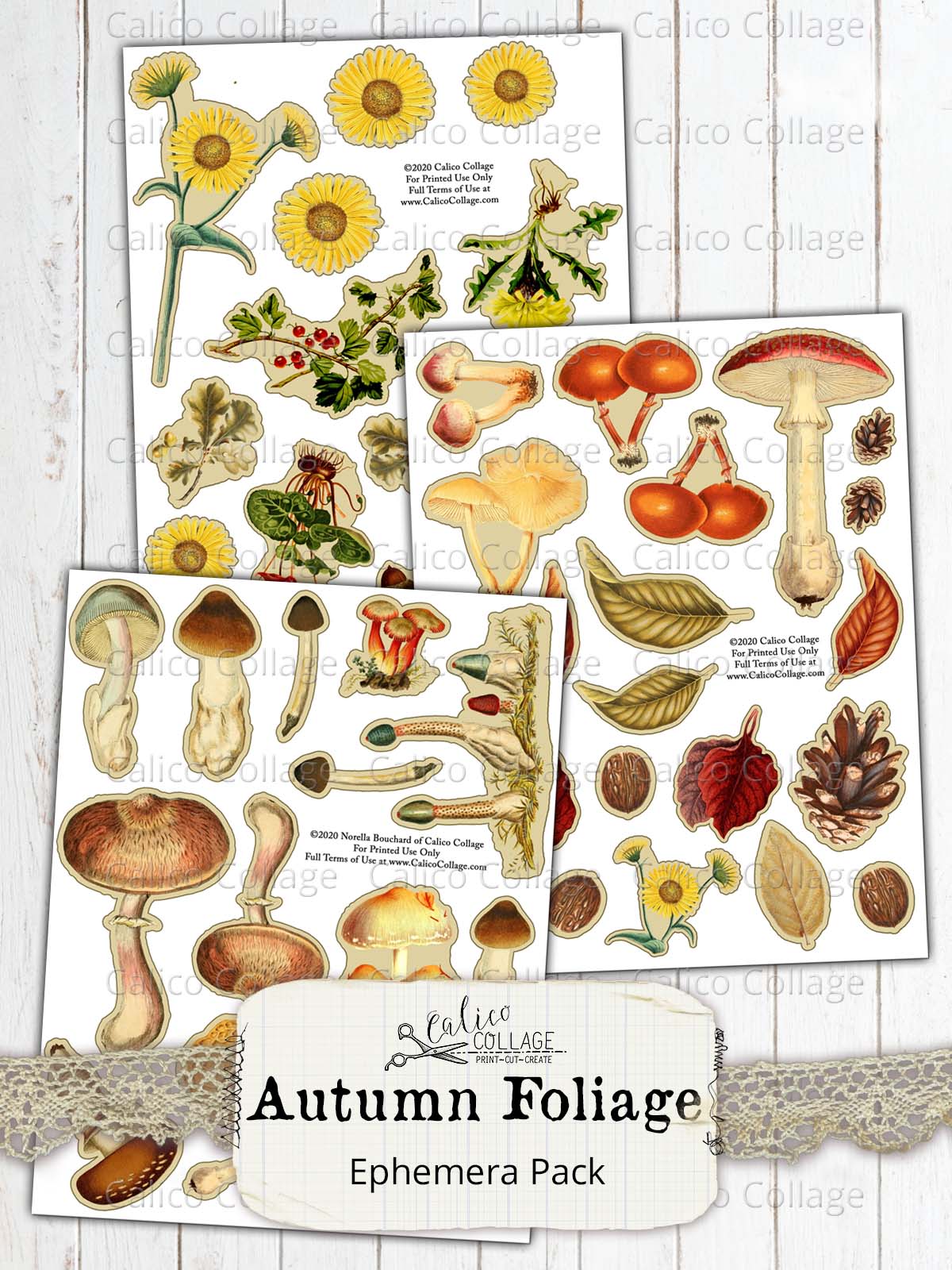 Autumn Fussy Cut Ephemera for Junk Journals