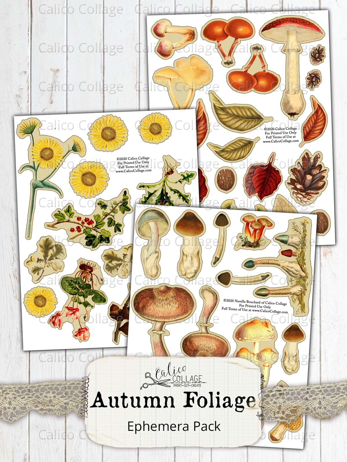 Autumn Fussy Cut Ephemera for Junk Journals