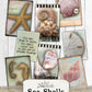 Sea Shells Ephemera Cards, Junk Journal Printable