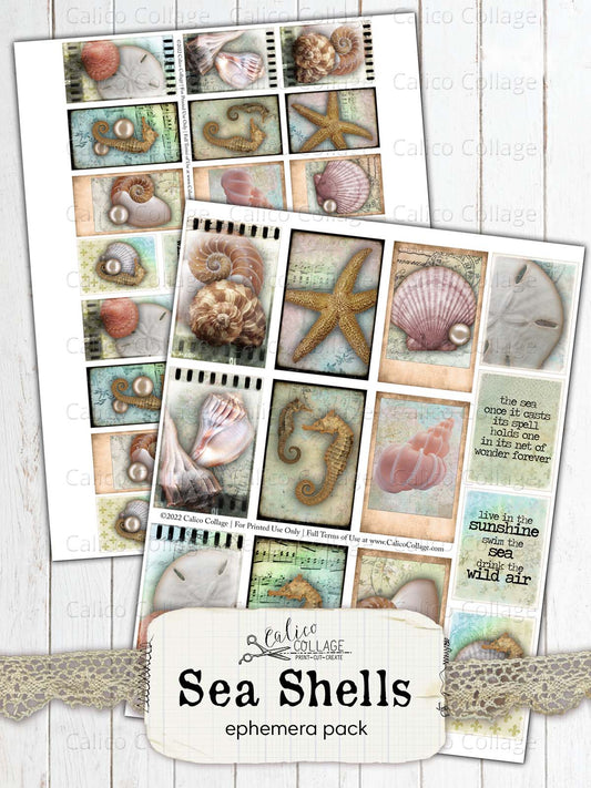 Sea Shells Ephemera Cards, Junk Journal Printable