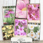 Floral Polaroids Pictures, Junk Journal Supplies