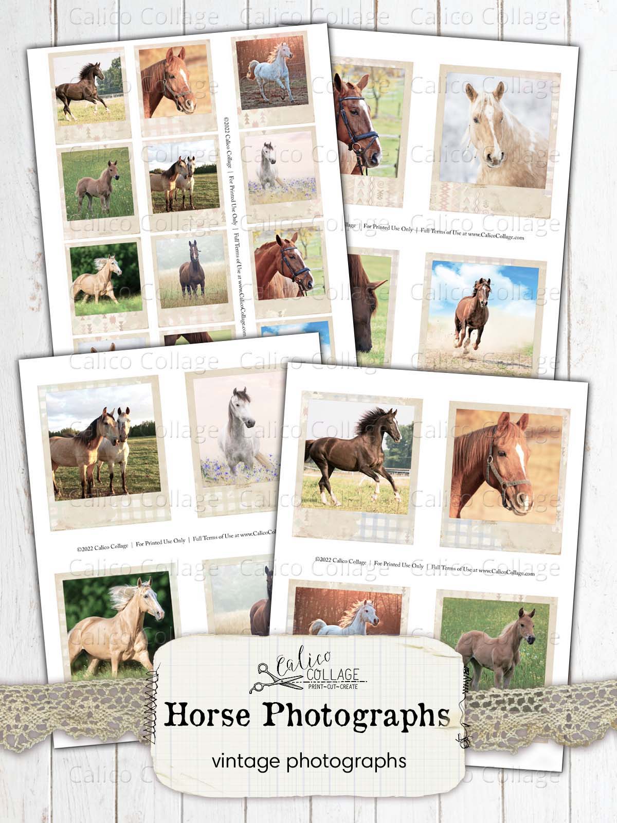 Horse Snapshots, Junk Journal Printables