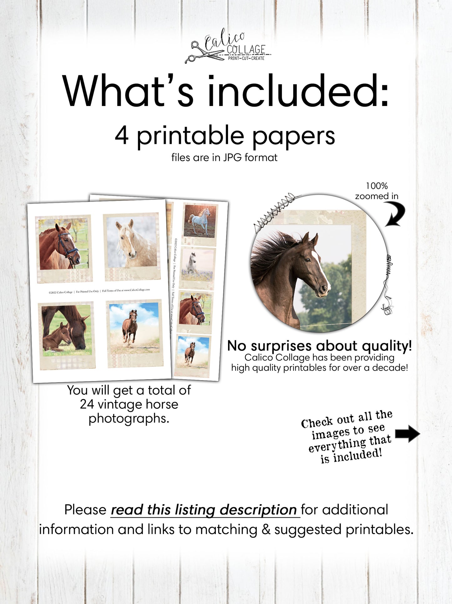 Horse Snapshots, Junk Journal Printables