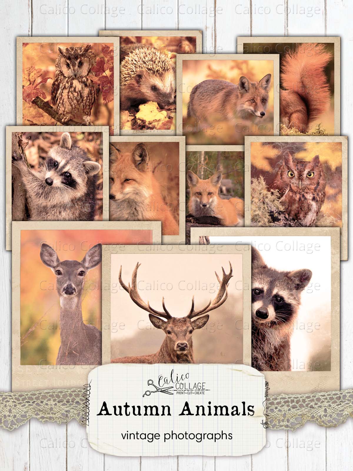 Vintage Autumn Animal Photographs, Junk Journal Printable