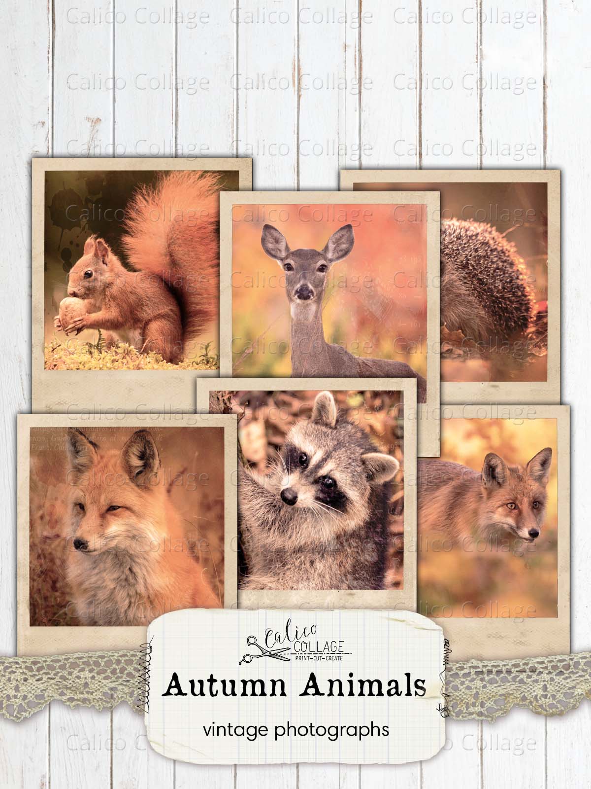 Vintage Autumn Animal Photographs, Junk Journal Printable