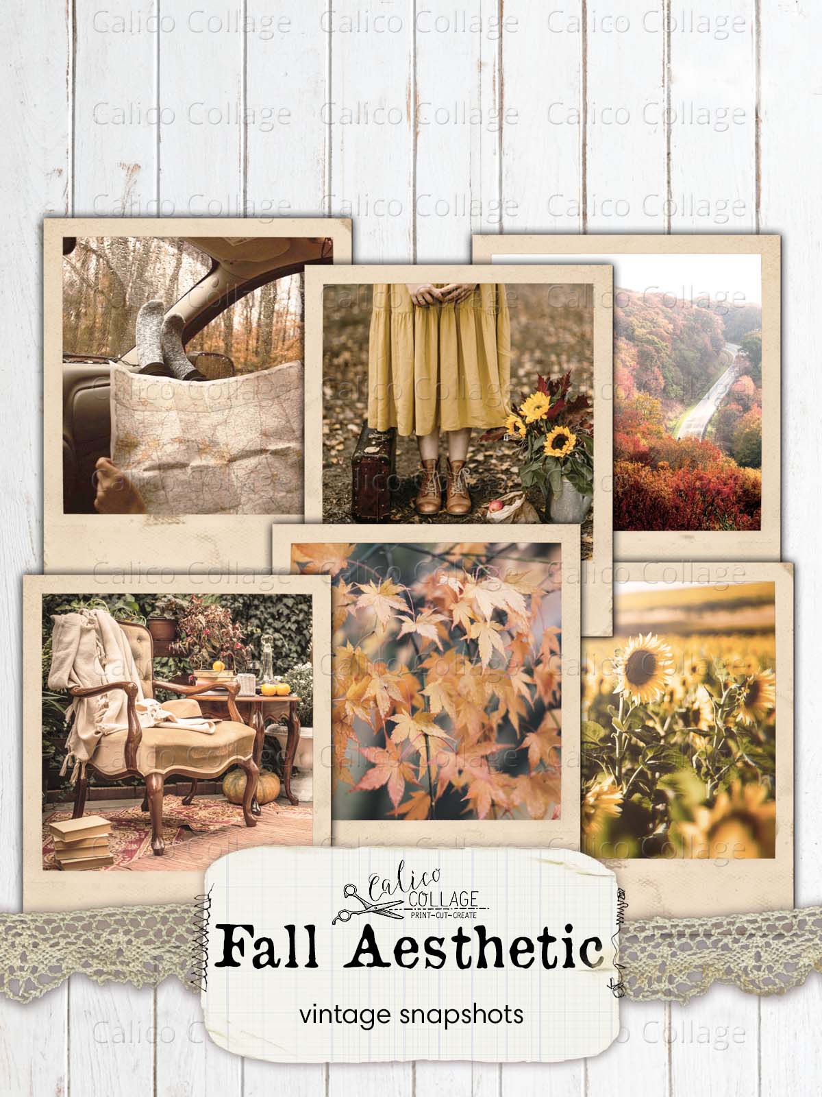 Vintage Autumn Snapshots, Fall Junk Journal Printables,