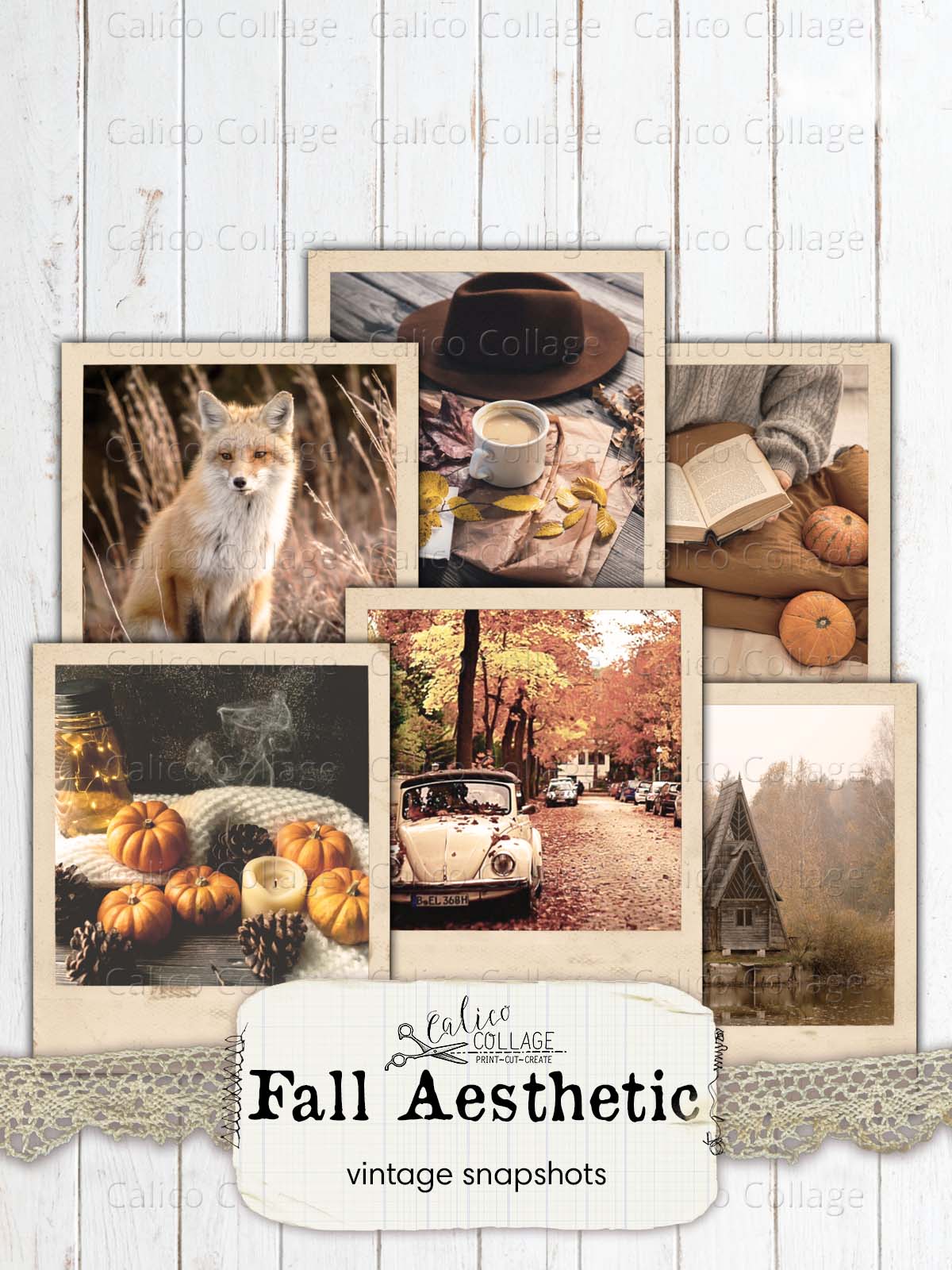 Vintage Autumn Snapshots, Fall Junk Journal Printables,