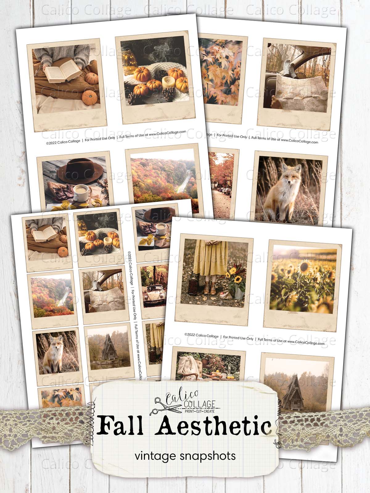 Vintage Autumn Snapshots, Fall Junk Journal Printables,