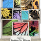 Butterfly Wings Vintage Snapshots, Junk Journal Printable