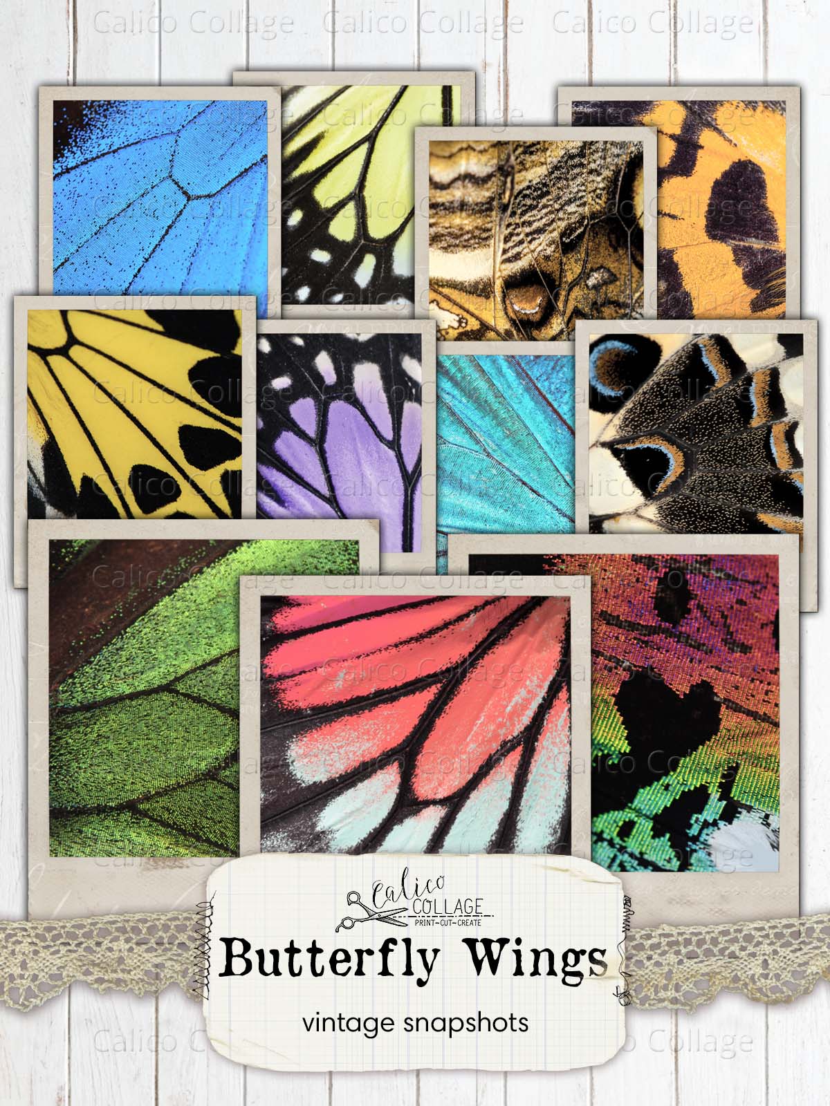 Butterfly Wings Vintage Snapshots, Junk Journal Printable