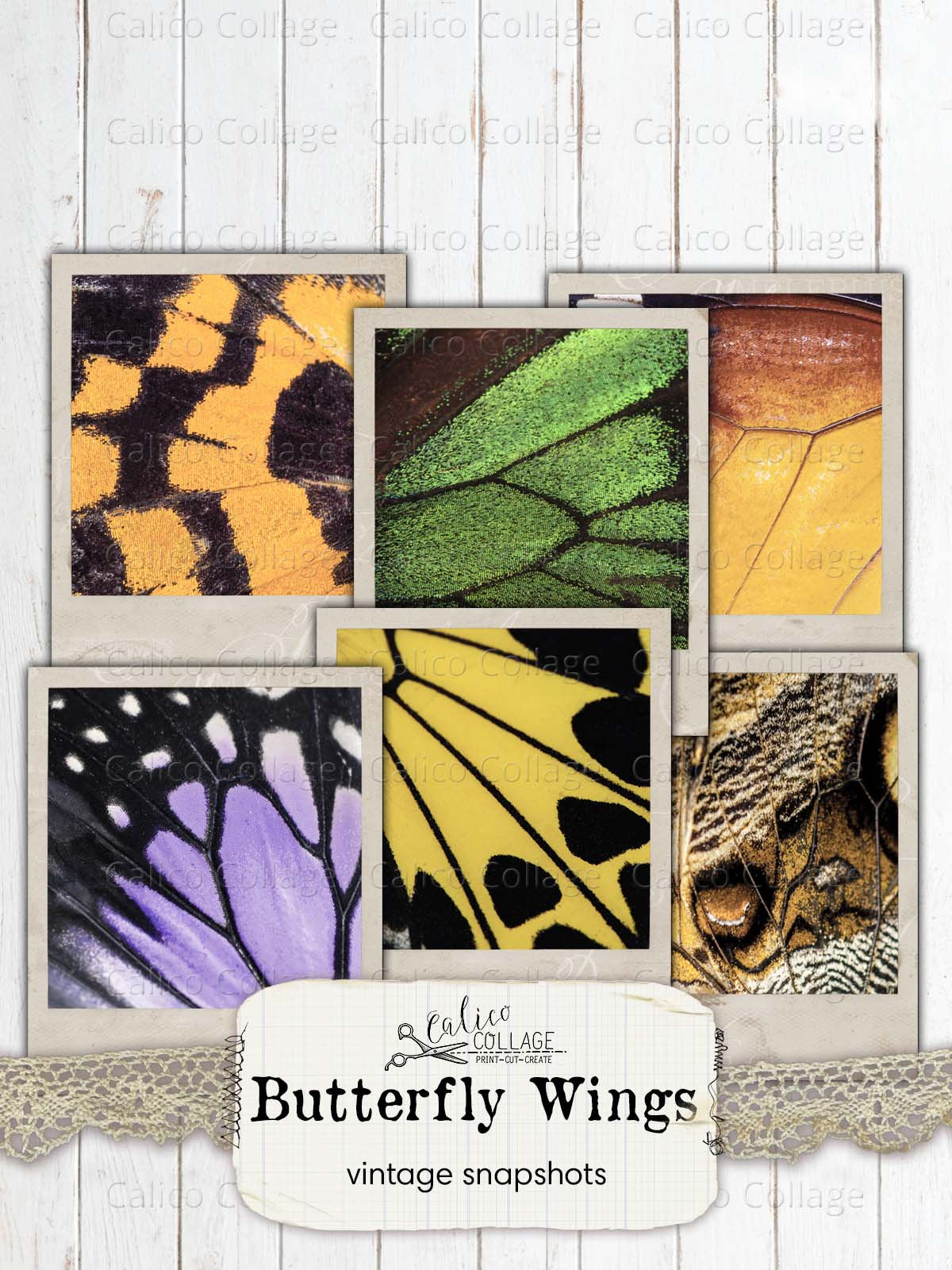 Butterfly Wings Vintage Snapshots, Junk Journal Printable