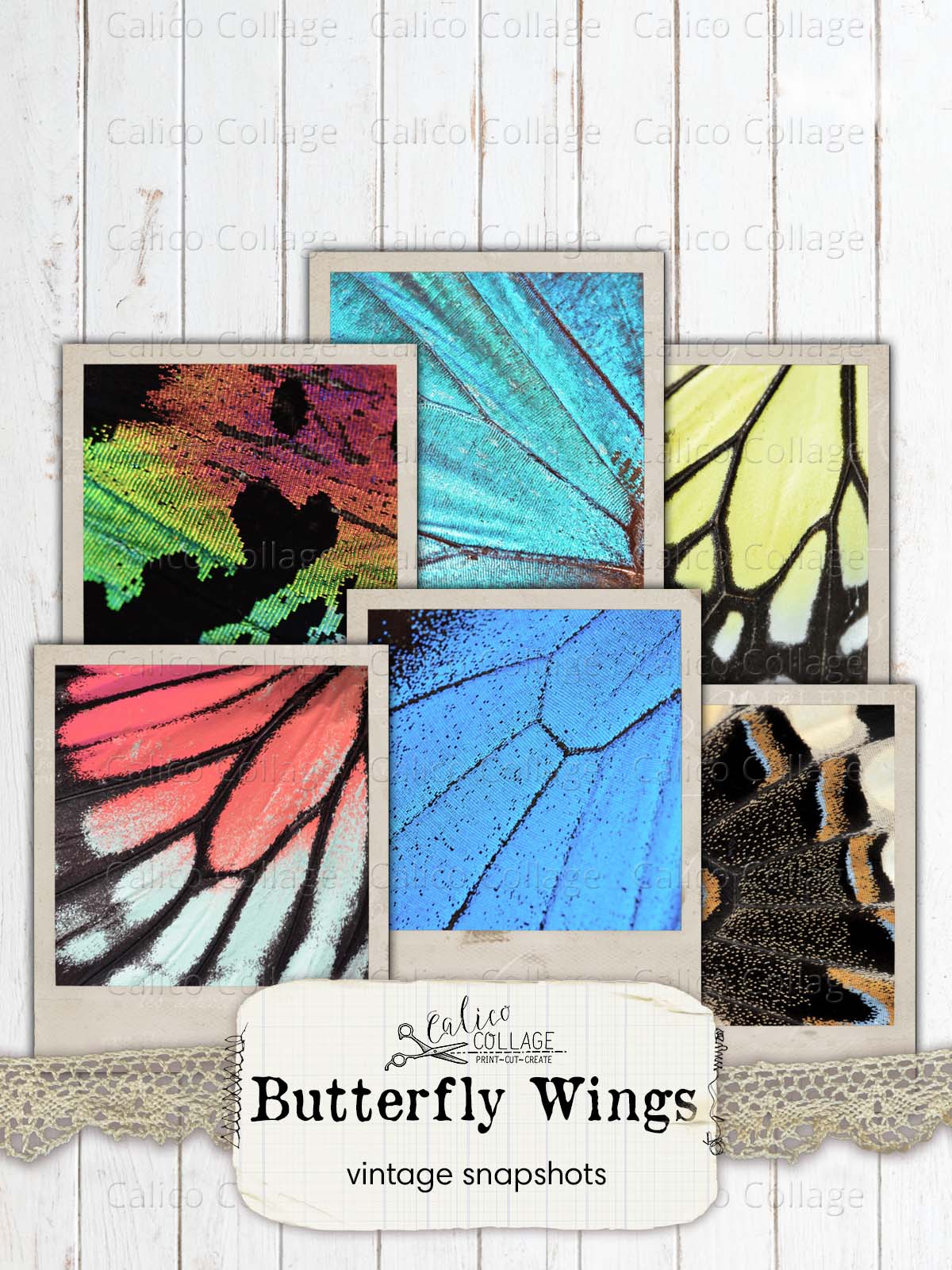 Butterfly Wings Vintage Snapshots, Junk Journal Printable