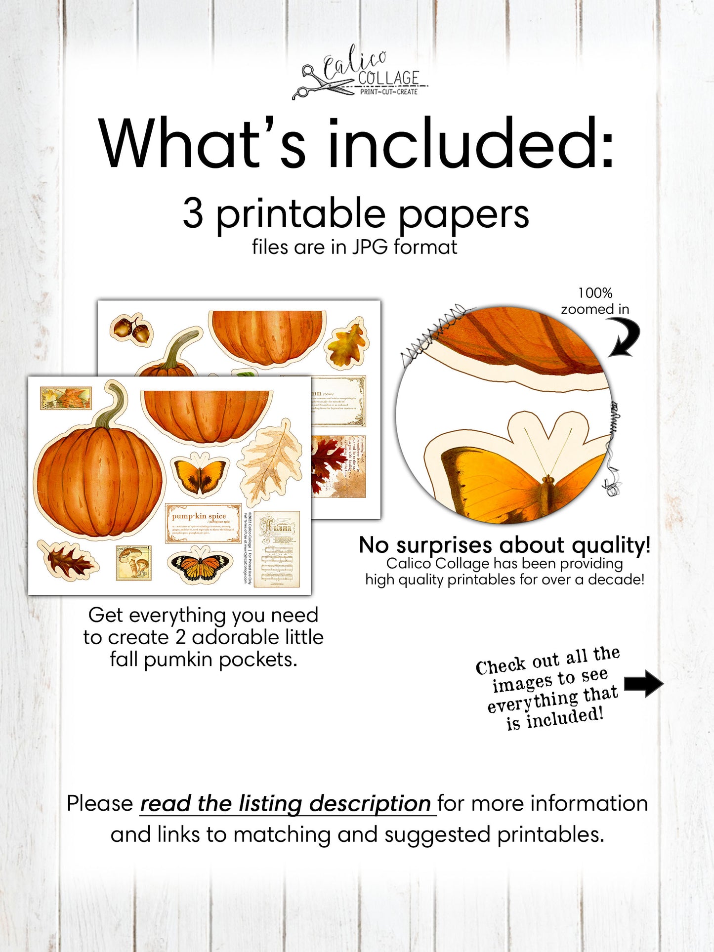 Pumpkin Loaded Pocket, Fall Ephemera Holder