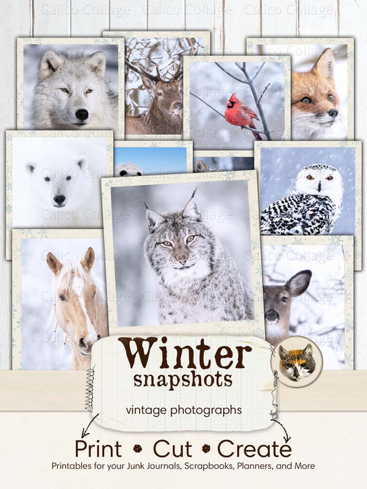Winter Time Ephemera Book: High Quality Images Of Animals and Peoples For  Paper Crafts, Scrapbooking, Mixed Media, Junk Journals, Collage Art, Artist